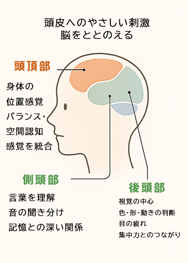 意思の強さと鍼灸