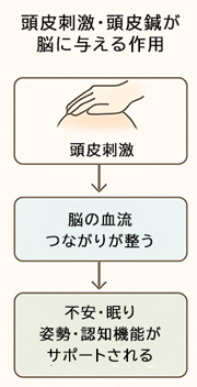 純粋体験・今を生きる